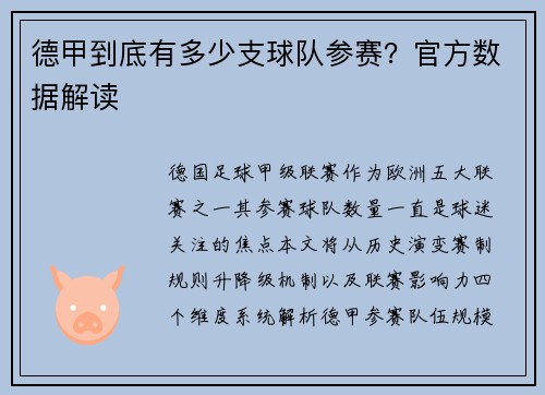 德甲到底有多少支球队参赛？官方数据解读